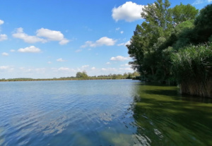 tozeg004